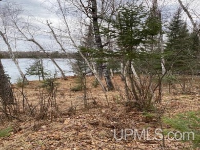 Maggie Lakes Lot For Sale in Crystal Falls Michigan