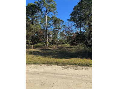 Suwannee River Lot For Sale in Old Town Florida