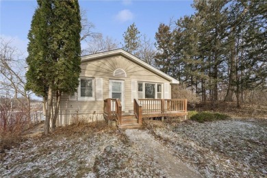 Lake Home For Sale in New London, Minnesota