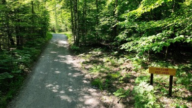 (private lake, pond, creek) Acreage For Sale in Atlanta Michigan