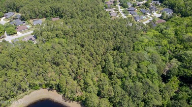 Come explore this beautiful home site of approximately 2.95 - photo 14