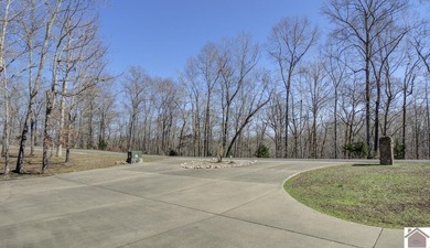 Experience lake living in this beautifully designed 4 bedroom, 3 - photo 3