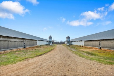 Great rare find - Simmons Farm with 9 broiler houses, (3) - photo 6