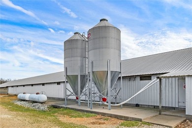 Great rare find - Simmons Farm with 9 broiler houses, (3) - photo 10