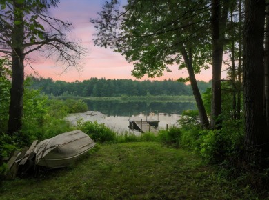 Lake Home For Sale in Leroy, Michigan