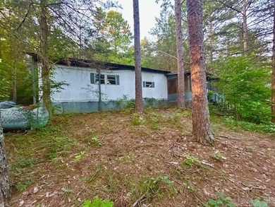 (private lake, pond, creek) Home For Sale in Mountain View Arkansas