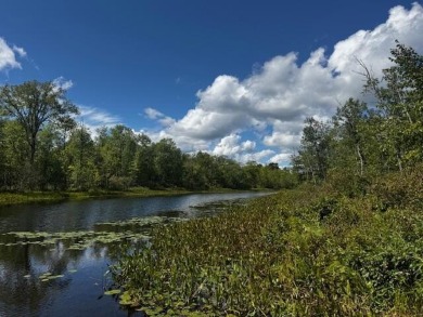 Lake Acreage For Sale in Skowhegan, Maine