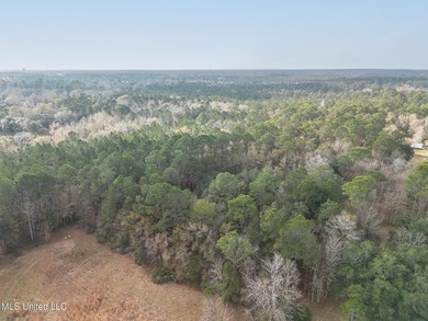 Beautiful Wooded Property available to tour by Appointment - photo 3