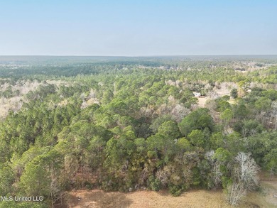 Beautiful Wooded Property available to tour by Appointment - photo 9