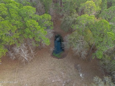 Beautiful Wooded Property available to tour by Appointment - photo 10