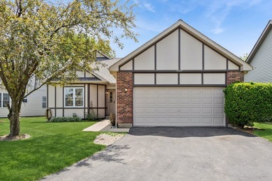 (private lake, pond, creek) Home For Sale in Plainfield Illinois