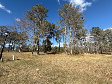 Check out this great opportunity for an incredible homesite in - photo 2