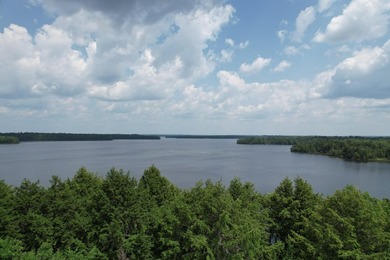 Welcome to a rare gem on the shores of the Grand Falls Flowage - photo 4