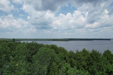 Welcome to a rare gem on the shores of the Grand Falls Flowage - photo 7