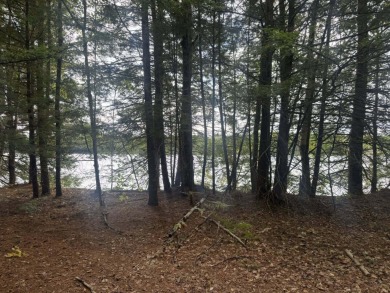 Lake Acreage For Sale in Howland, Maine