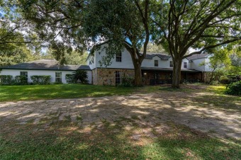 (private lake, pond, creek) Home For Sale in Lutz Florida
