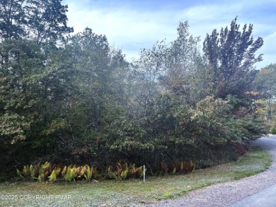 Emerald Lakes Lot For Sale in Pocono Pines Pennsylvania