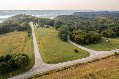 Mississippi River Acreage For Sale in De Soto Wisconsin