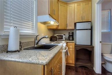 Prime Lakefront Mixed-Use Investment - Downtown Clearlake - photo 31