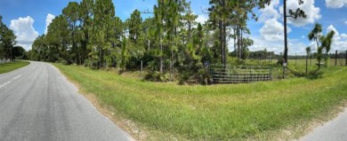 Lake Mary Jane Acreage For Sale in Orlando Florida