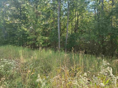 Lake Barnett - Bayou Des Arc  Lot For Sale in Searcy Arkansas