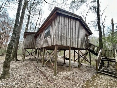 (private lake, pond, coastal) Home For Sale in Tylertown Mississippi