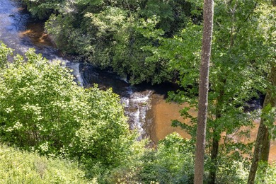 Horsepasture River frontage defines this property - - photo 36