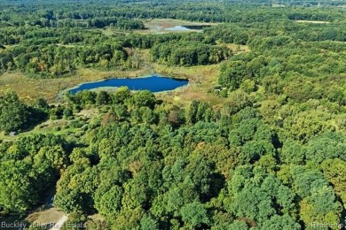 Lake Acreage Sale Pending in Howell, Michigan