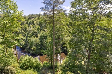 Horsepasture River frontage defines this property - - photo 44