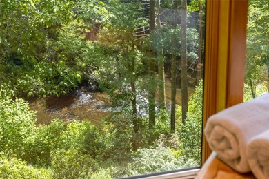 Horsepasture River frontage defines this property - - photo 50