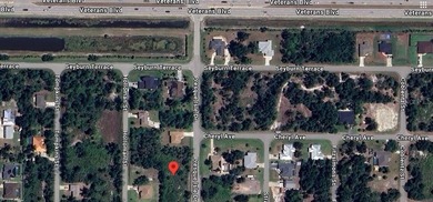 Port Charlotte Waterway Area Lot For Sale in Port Charlotte Florida