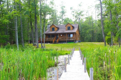 Lake Home For Sale in Hillman, Michigan