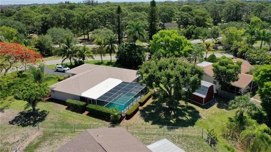 single home! Half acre property in the sought after neighborhood - photo 3