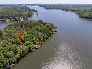 Waterfront Home on Lake Harding - photo 2