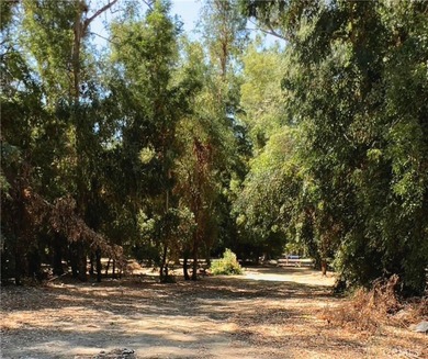 What a wonderful opportunity to purchase Lake front property - photo 14