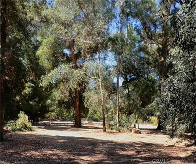 What a wonderful opportunity to purchase Lake front property - photo 16