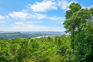 Set within the prestigious Meadow Ridge section of Lake Toxaway - photo 29