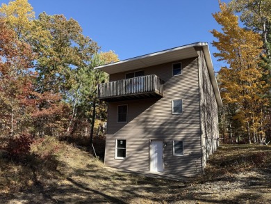 Lake Home For Sale in Indian River, Michigan