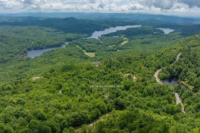 Set within the prestigious Meadow Ridge section of Lake Toxaway - photo 47