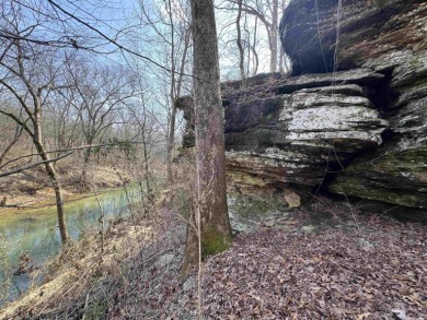 Lake Acreage For Sale in Bee Branch, Arkansas