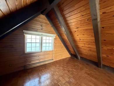 Lake LaTonka living at its finest! Nestled on a quiet cul-de-sac - photo 10