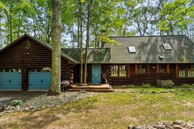 Lake Home For Sale in Hillman, Michigan