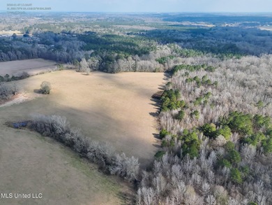 (private lake, pond, coastal) Acreage For Sale in Brookhaven Mississippi