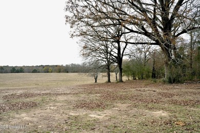 Discover this outstanding 160+/- acre multi-purpose property in - photo 3