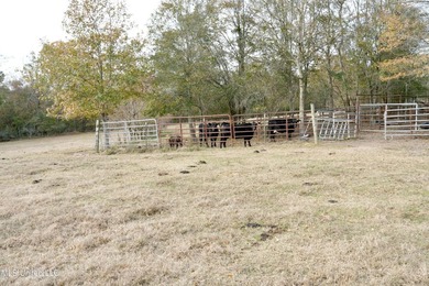 Discover this outstanding 160+/- acre multi-purpose property in - photo 4