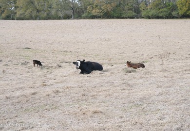 Discover this outstanding 160+/- acre multi-purpose property in - photo 5