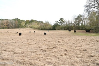 Discover this outstanding 160+/- acre multi-purpose property in - photo 6
