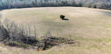 Discover this outstanding 160+/- acre multi-purpose property in - photo 8