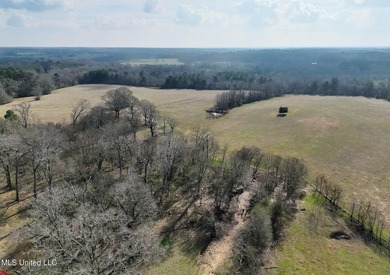 Discover this outstanding 160+/- acre multi-purpose property in - photo 9