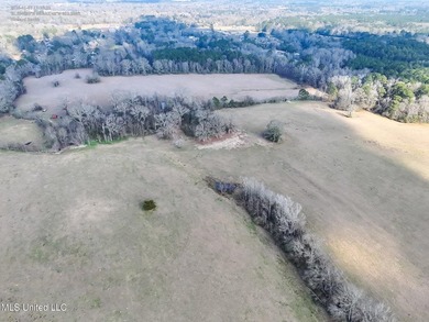 Discover this outstanding 160+/- acre multi-purpose property in - photo 10